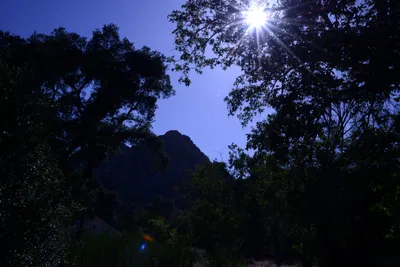 DSC_2054 (Large).JPG